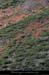 20111208_vtt_montselgues_pentesdeboyer1