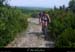 20110814_vtt_chauzon_pistedestraverses