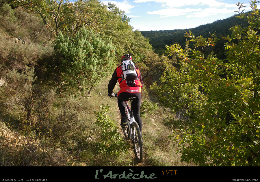 20101017_vtt_standeoldeberg_boisdemezeyras3