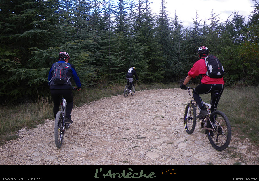 20101017_vtt_standeoldeberg_colepine1