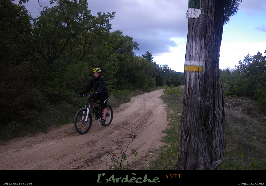 20101017_vtt_standeoldeberg_foretdomdeberg1