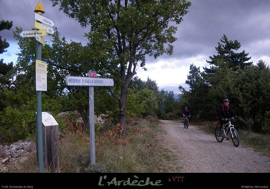 20101017_vtt_standeoldeberg_foretdomdeberg3