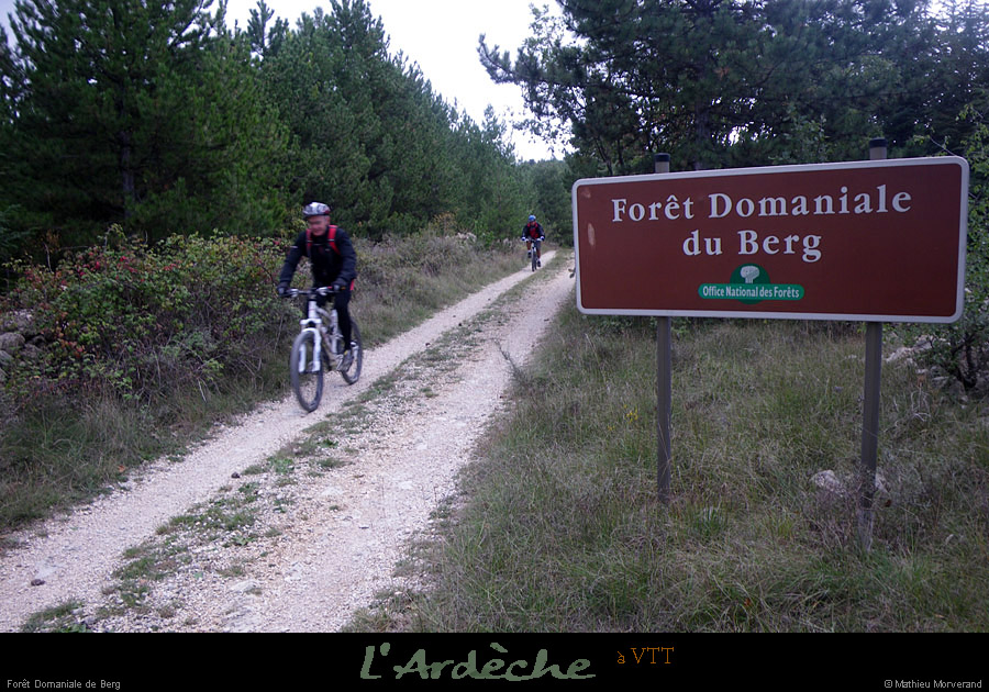 20101017_vtt_standeoldeberg_foretdomdeberg4