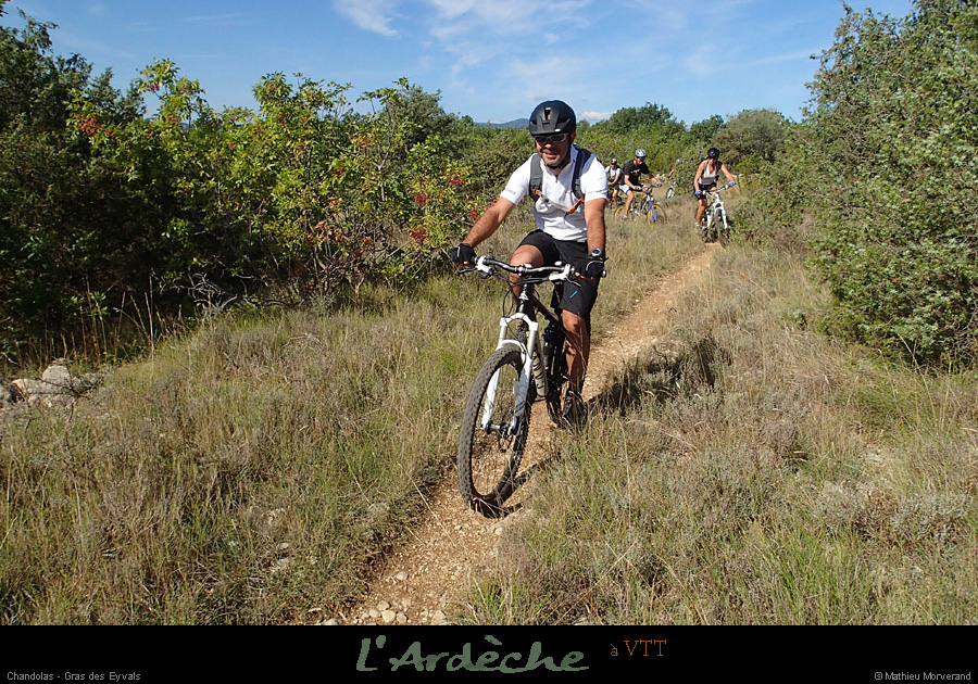 20130901_vtt_chandolas_grasdeseyvals2