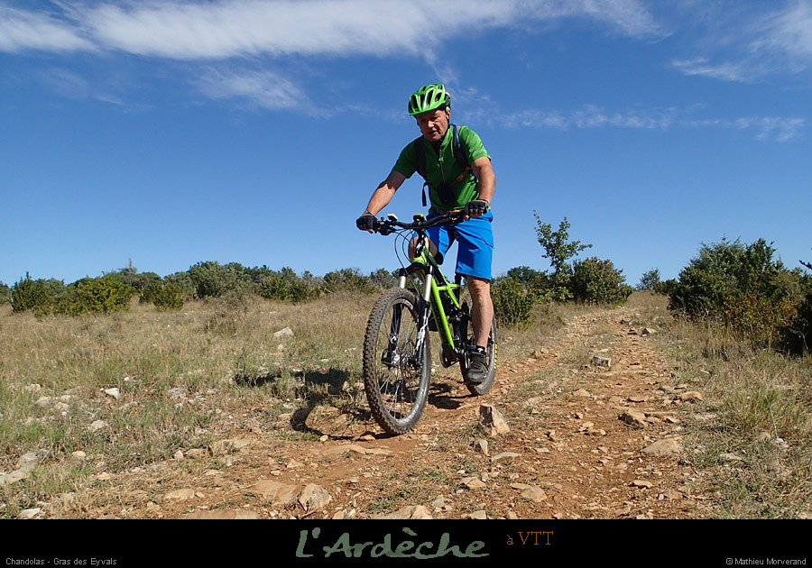 20130901_vtt_chandolas_grasdeseyvals5