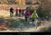 20131201_vtt_standre_pistedumasdecruzieres3