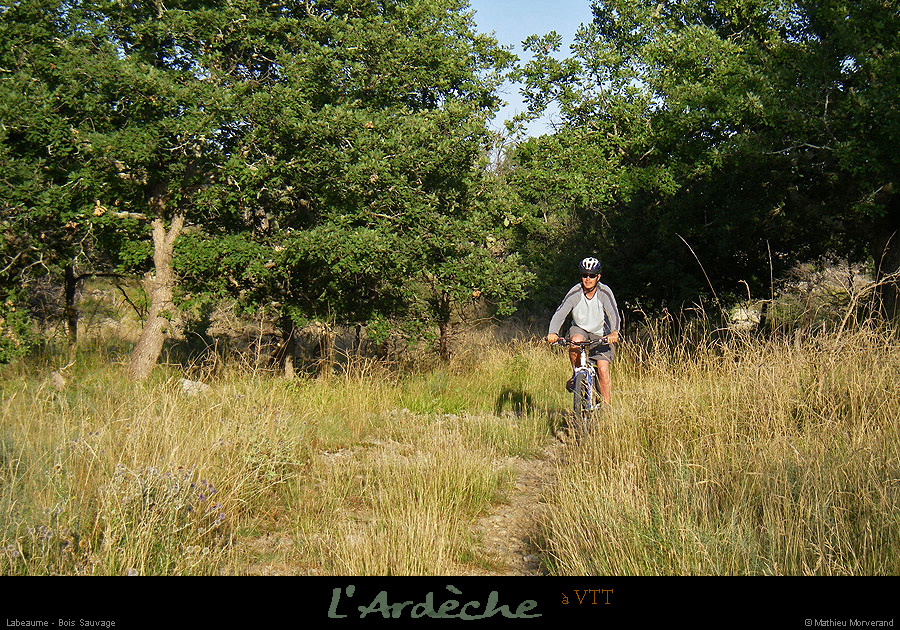 20080821_vtt_grasdelabeaume