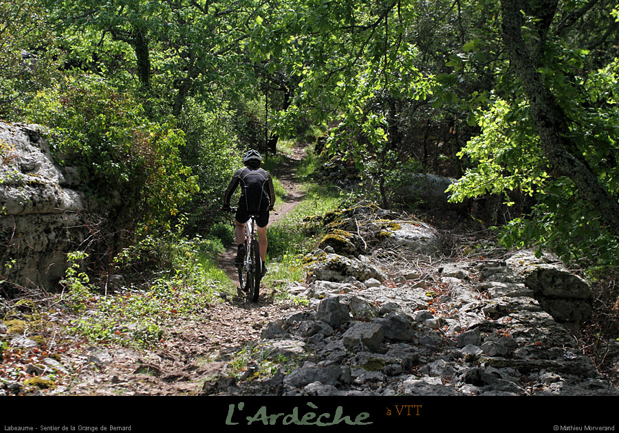 20120429_vtt_labeaume_sentierdelagrangedebernard2