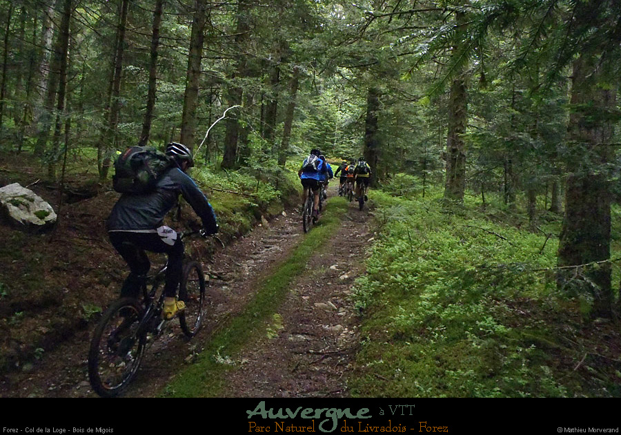 20130621_vtt_forez_coldelaloge_boisdemigois3