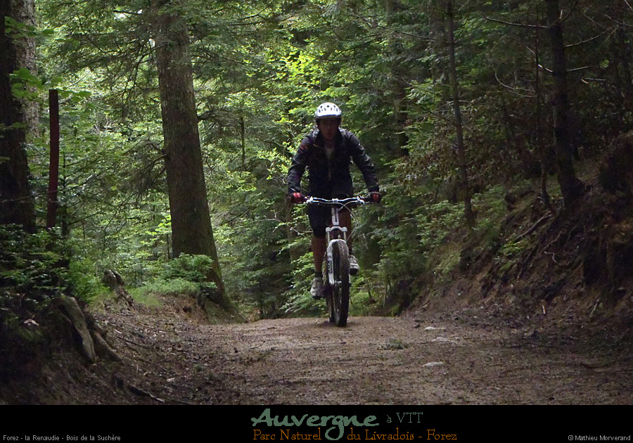 20130621_vtt_forez_larenaudie_boisdelasuchere
