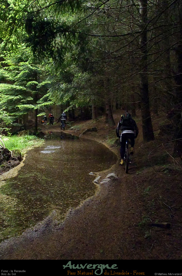 20130621_vtt_forez_larenaudie_boisdugot