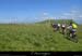 20150617_117