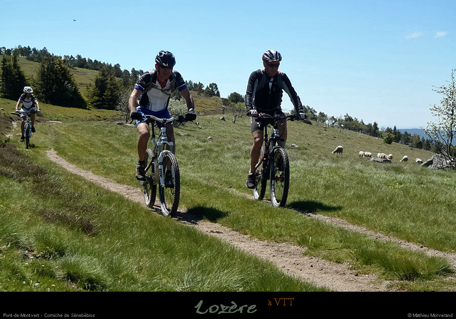 20130630_vtt_ptdemontvert_cornichesenebebios2