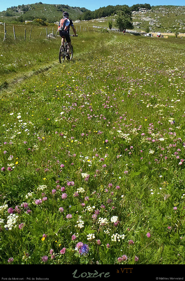 20130630_vtt_ptdemontvert_predebellecoste2