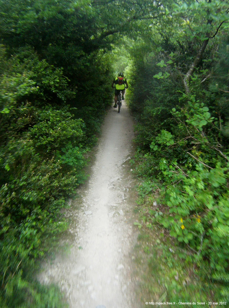 20120520_055