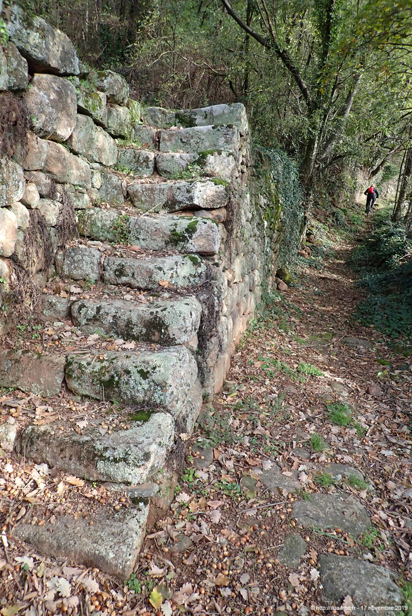 20191117_122