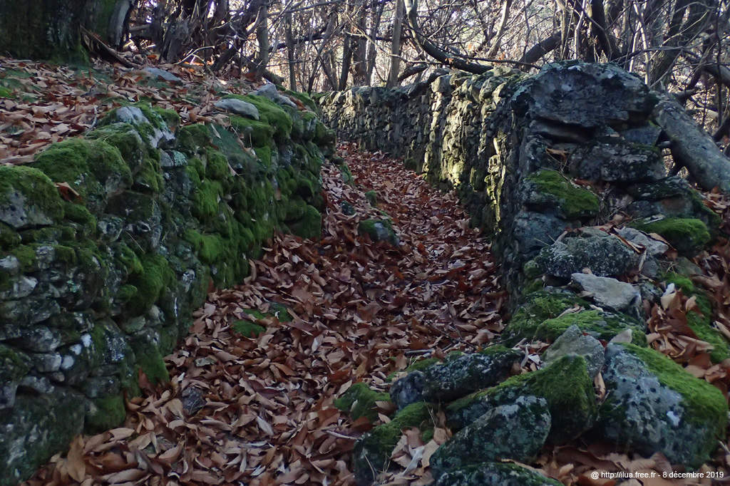 20191208_110