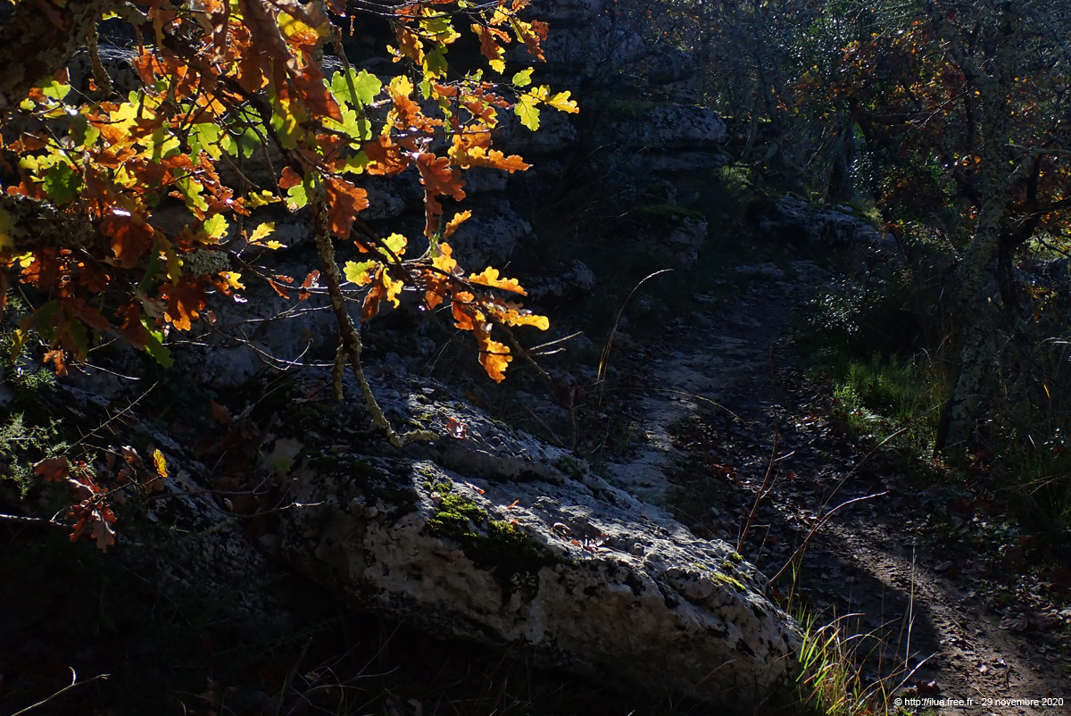 20201129_055