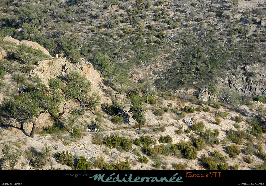 20120118_vtt_esterel_vallondebarban1