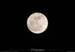 20120207_lunedelabigournette1