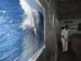 20110215_capeutsurfercetteaffaire