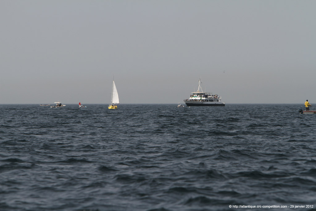 20120129_641