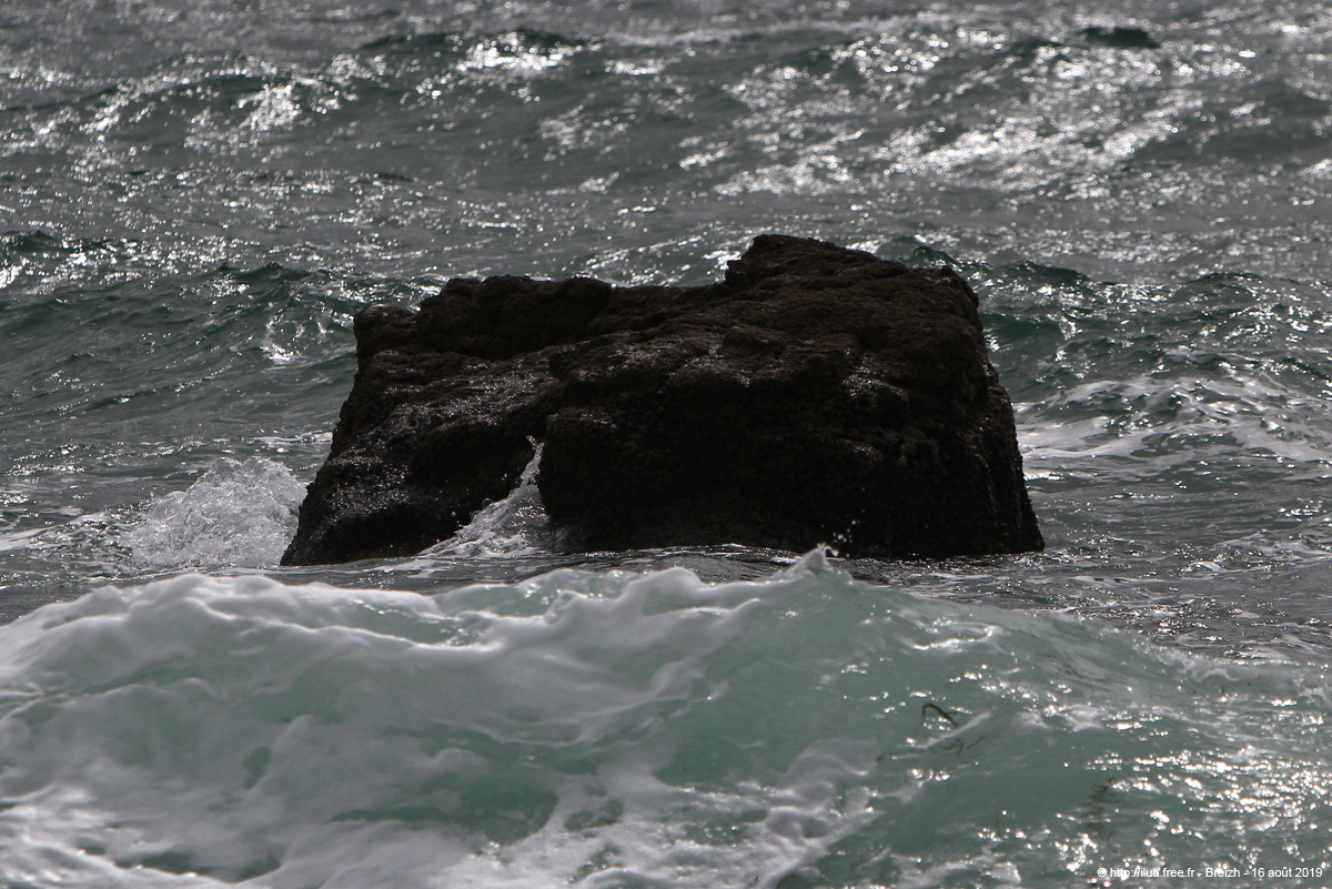 20190816_135