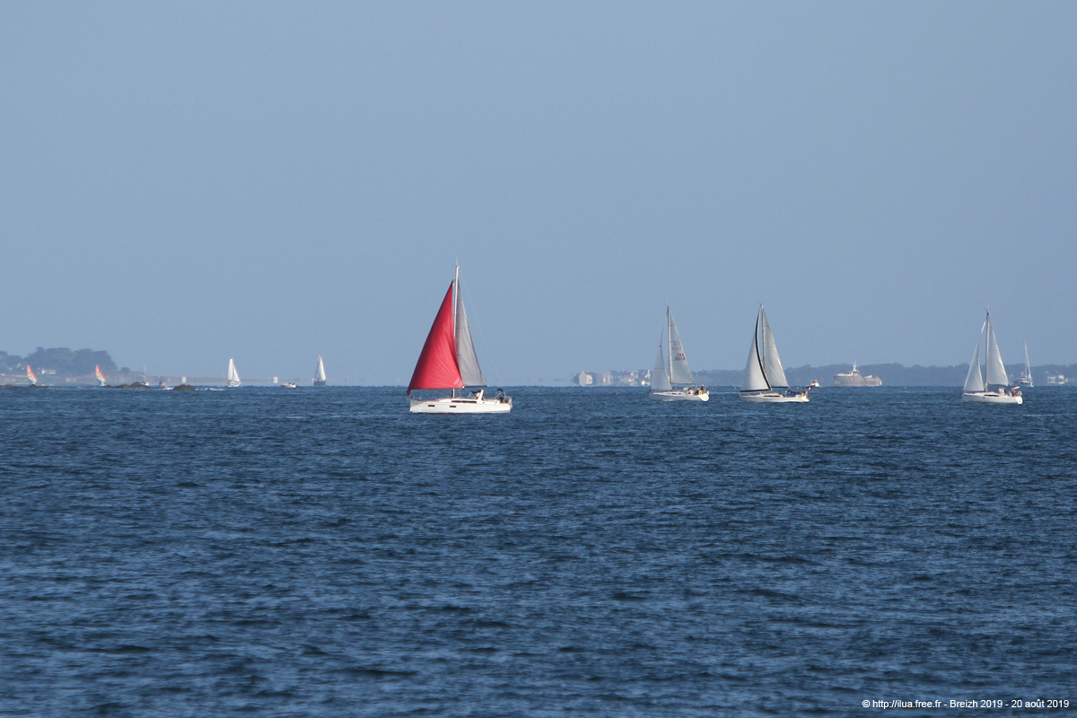 20190820hb_040