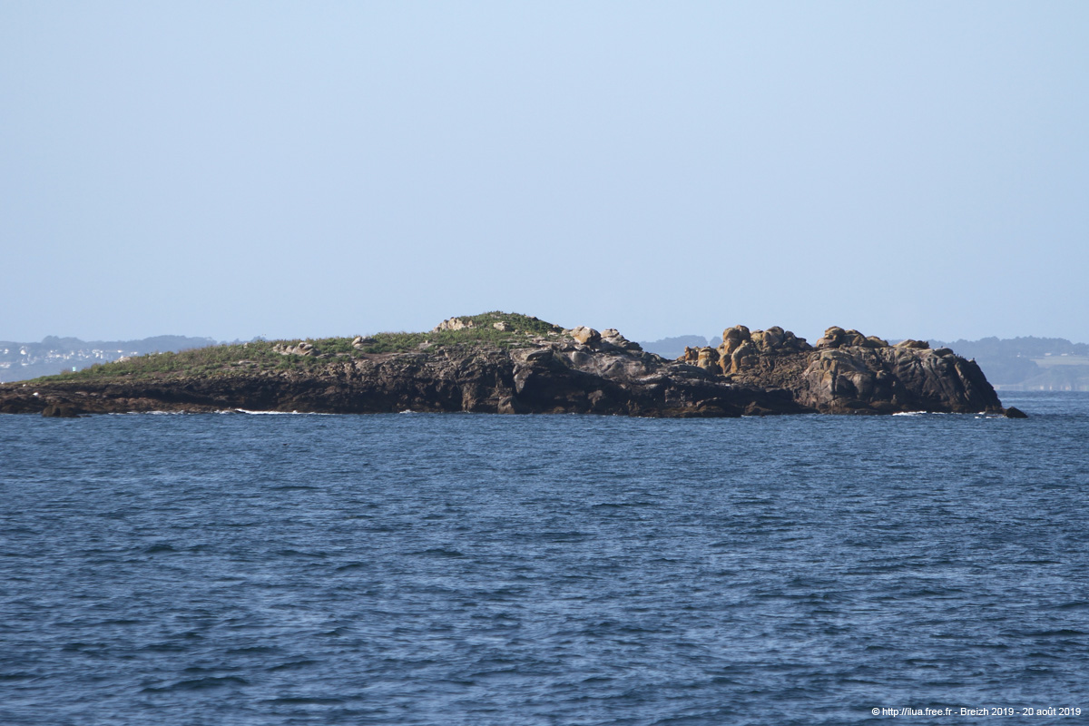 20190820hb_041