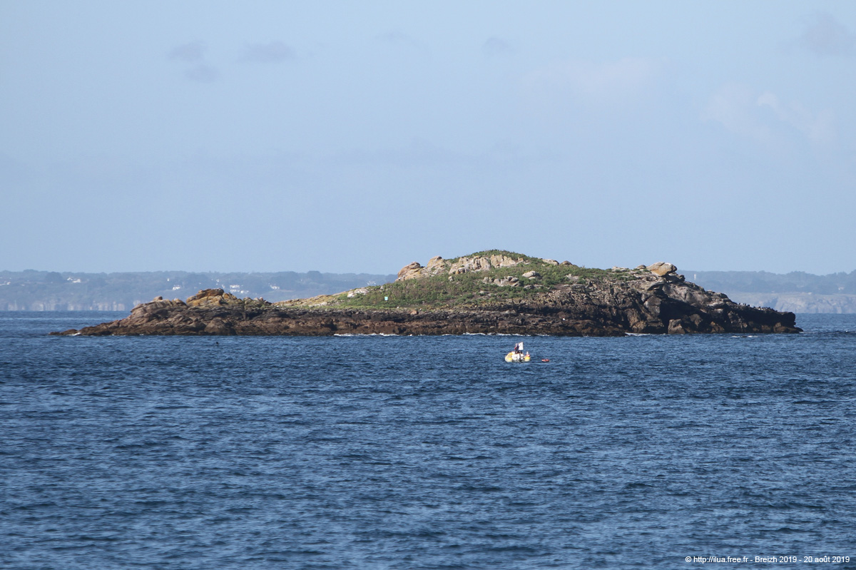 20190820hb_043