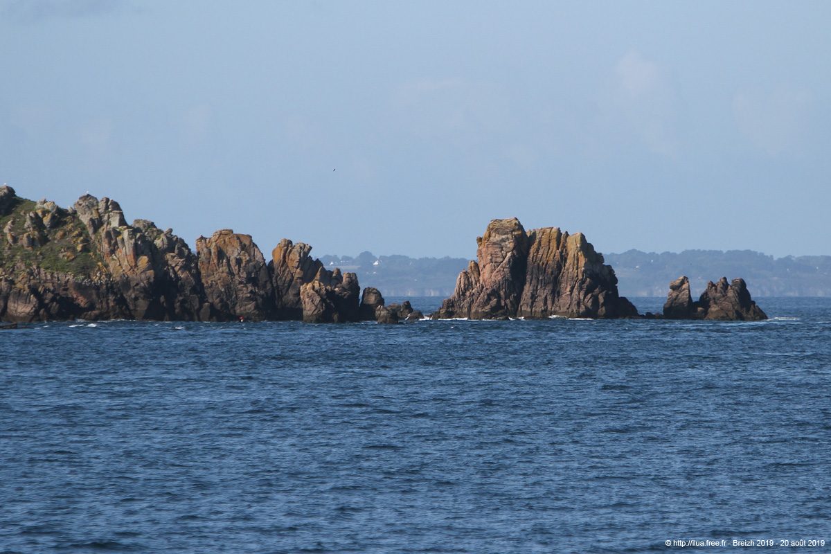 20190820hb_052