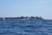 20190822_243
