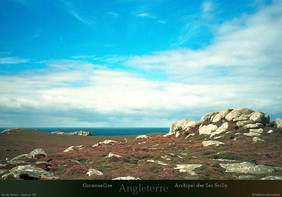 19900904_scilly_tresco_paysage_6