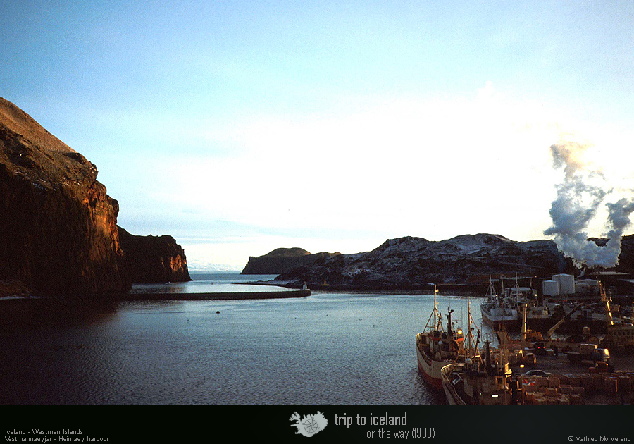 19901121_03_heimaey_portentree2