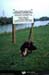 19901017_ferrybridge_mmplantantdesjonquilles