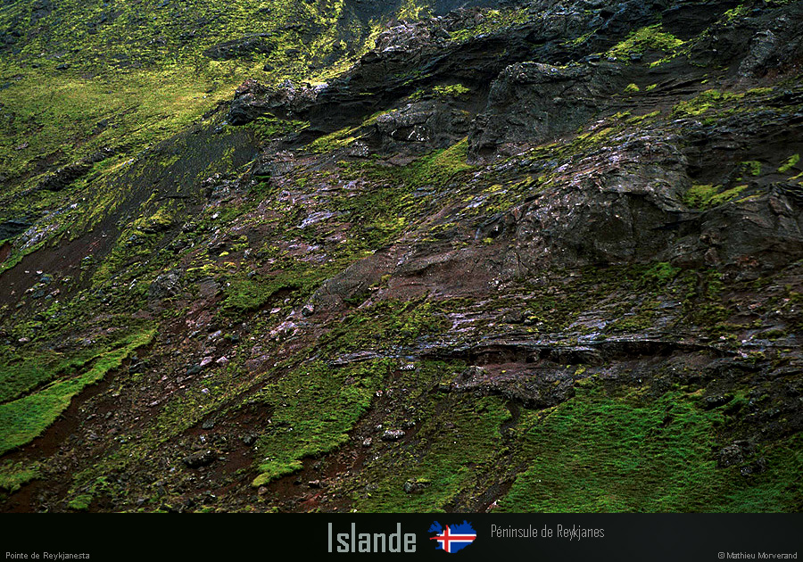 19950900_reykjanesta_7