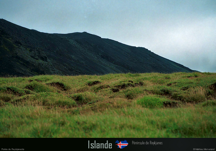 19950900_reykjanesta_8