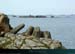 20040216_brehat_phare_des_heaux_de_kerarguilllis