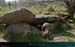 20220422_alleecouverte
