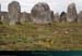 20190316_carnac_alignements_kermario01