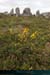 20190316_carnac_alignements_kermario02