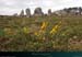 20190316_carnac_alignements_kermario03