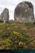 20190316_carnac_alignements_kermario04