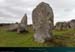 20190316_carnac_alignements_kermario06