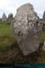 20190316_carnac_alignements_kermario08