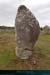 20190316_carnac_alignements_kermario11