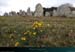 20190316_carnac_alignements_kermario13