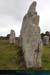 20190316_carnac_alignements_kermario16