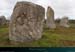 20190316_carnac_alignements_kermario17