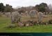 20190316_carnac_alignements_menec1
